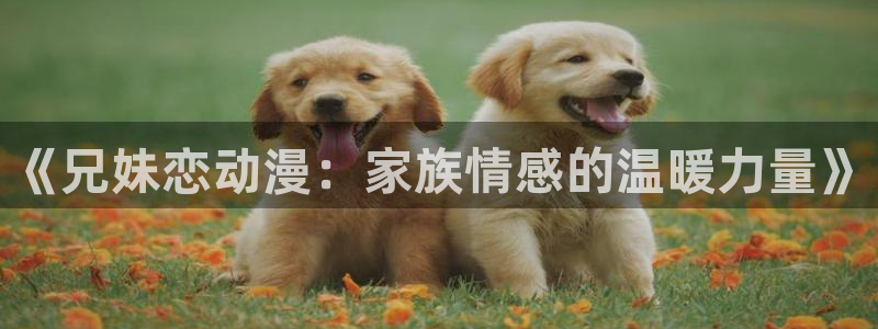 歪歪动漫www